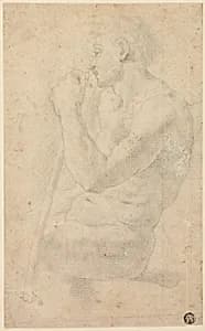 Academic Male Nude