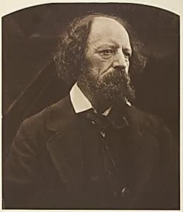 Alfred, Lord Tennyson by Julia Margaret Cameron