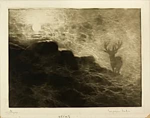 An Early Riser by Francis Seymour Haden