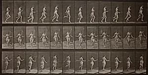 Animal Locomotion, Plate 174 by Eadweard Muybridge