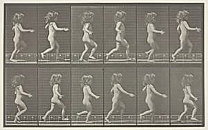 Animal Locomotion, Plate 469 by Eadweard Muybridge