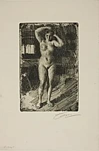 Anna Doing Her Hair by Anders Zorn