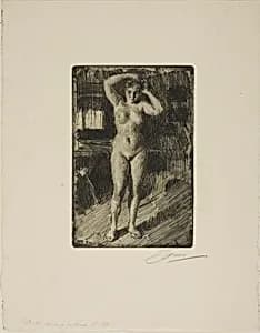 Anna Doing Her Hair by Anders Zorn