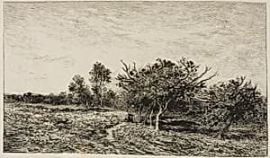 Apple Trees at Auvers by Charles François Daubigny