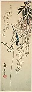 Bird on wisteria by Utagawa Hiroshige