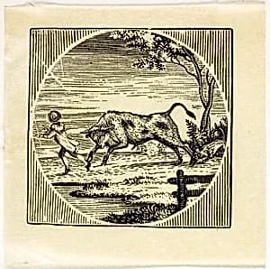 Book Illustration by Thomas Bewick