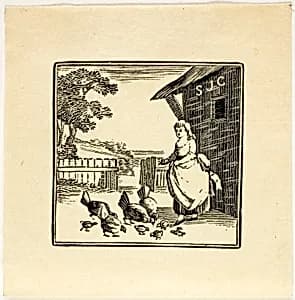 Book Illustration by Thomas Bewick