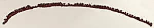 Border Fragment by Nasca