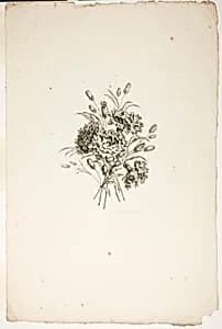 Bouquet with Carnations, from Recueil de differents bouquets de fleurs by Pierre-Charles Canot