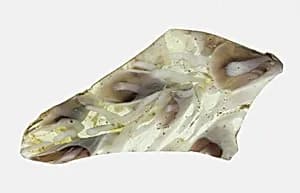 Bowl Fragment by Ancient Roman