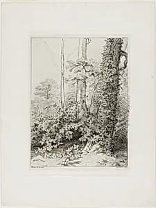 Bramble and Ivy by Eugène Blery