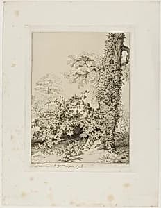 Bramble and Ivy by Eugène Blery