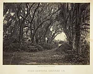 Buen-Ventura Savannah, Ga. by George N. Barnard