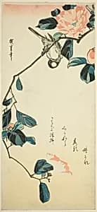 Bullfinch on camellia branch by Utagawa Hiroshige