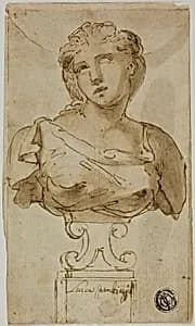 Bust of a Woman by Luca Cambiaso