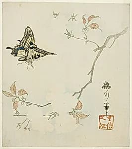 Butterfly and Flowers by Utagawa Hiroshige II (Shigenobu)
