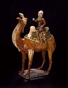 Camel by Unknown