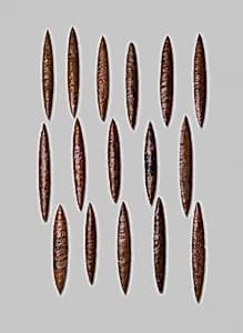 Ceremonial Blades by Colima