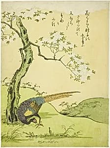 Cherry Tree and Pheasant