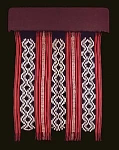 Portrait of Mapuche