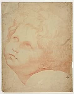 Child's Head, Looking Upward by Raphael