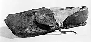 Child's Shoe by Unknown