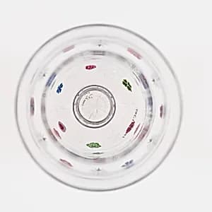 Cordial Glass by Baccarat Glassworks