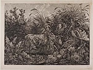 Cow in a Stream by Carl Wilhelm Kolbe, the elder