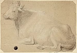 Cow Lying on Haunches by Unknown