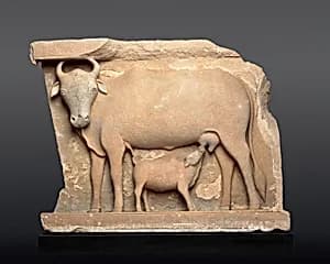 Cow Suckling a Calf by Unknown