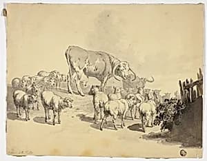 Cows and Sheep