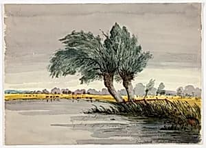 Cringleford Meadows-Morning by Robert Leman