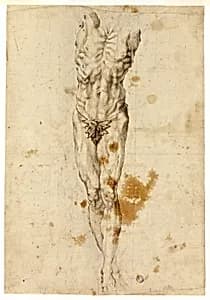 Portrait of Follower of Michelangelo Buonarroti
