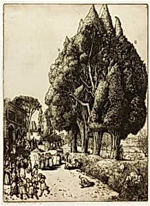Cypress Grove by Donald Shaw MacLaughlan