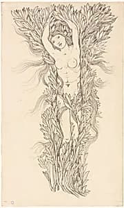 Daphne by Style of Sir Edward Burne-Jones