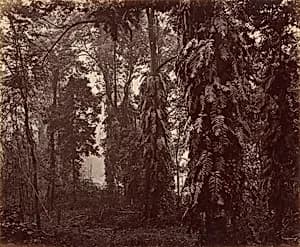 Darjeeling, India by Samuel Bourne