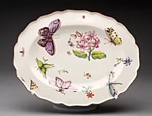 Dish
