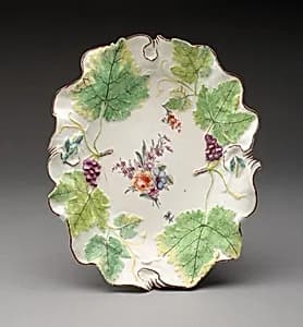 Dish