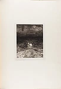 Downfall, from A Life by Max Klinger