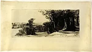 Early Morning, Richmond Park by Francis Seymour Haden