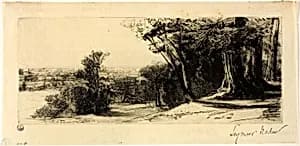 Early Morning, Richmond Park by Francis Seymour Haden