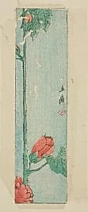 Envelope with hibiscus by Utagawa Hiroshige