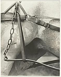Equivalent, Spiritual America by Alfred Stieglitz