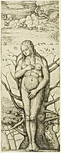 Eve by Daniel Hopfer, I