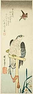 Falcon, sparrow, and narcissus by Utagawa Hiroshige