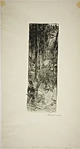 Falling Pines by Louis Auguste Lepère