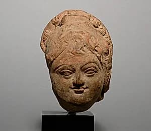 Female Head by Unknown