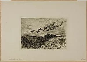 Flying Geese