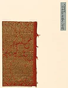 Fragment by Unknown