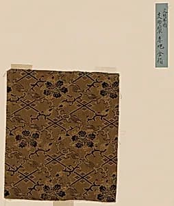 Fragment by Unknown